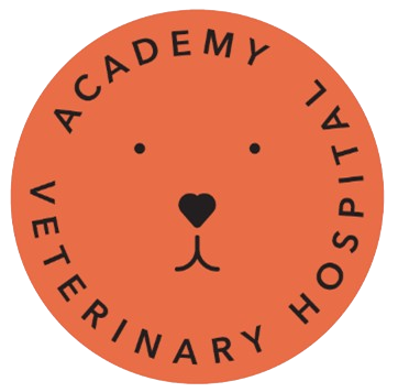 Academy Veterinary Hospital